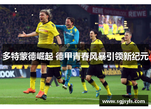 多特蒙德崛起 德甲青春风暴引领新纪元