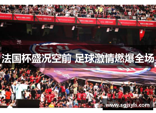 法国杯盛况空前 足球激情燃爆全场 法国杯盛况空前 足球激情燃爆全场