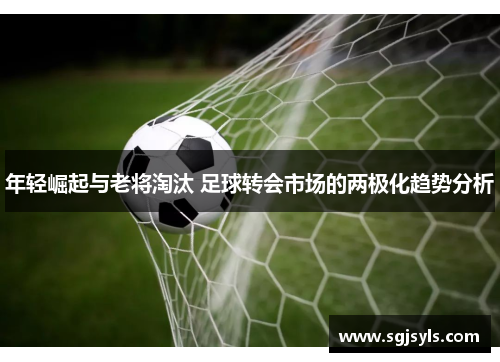 年轻崛起与老将淘汰 足球转会市场的两极化趋势分析