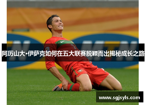 阿历山大·伊萨克如何在五大联赛脱颖而出揭秘成长之路 阿历山大·伊萨克如何在五大联赛脱颖而出揭秘成长之路