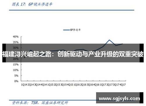 福建浔兴崛起之路：创新驱动与产业升级的双重突破