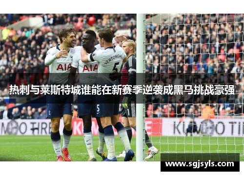 热刺与莱斯特城谁能在新赛季逆袭成黑马挑战豪强