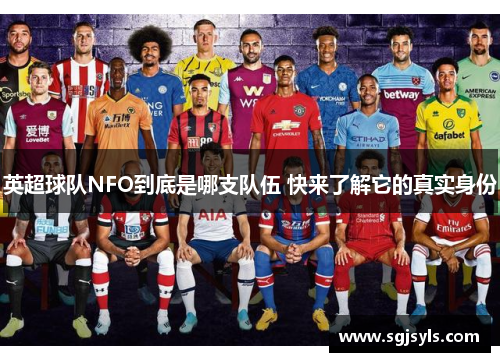 英超球队NFO到底是哪支队伍 快来了解它的真实身份 英超球队NFO到底是哪支队伍 快来了解它的真实身份